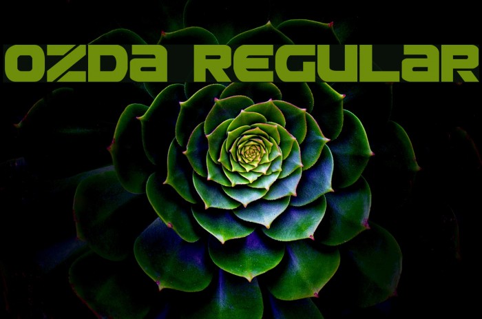 Ozda Regular Font examples