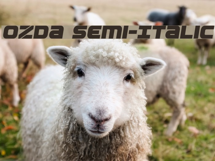 Ozda Semi-Italic Example 2