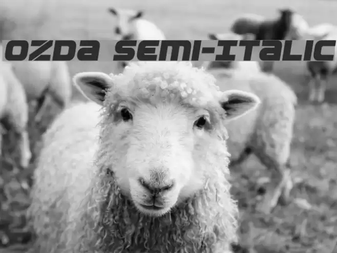 Ozda Semi-Italic Font examples