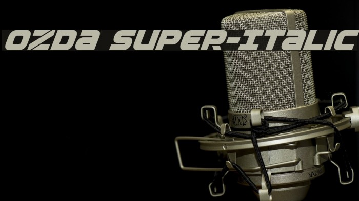 Ozda Super-Italic Example 2