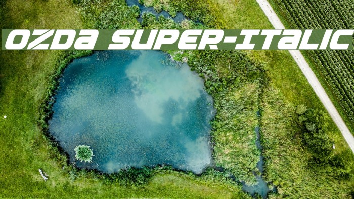 Ozda Super-Italic Example 3