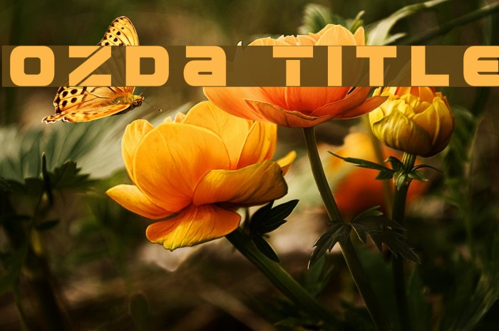 Ozda Title Font examples