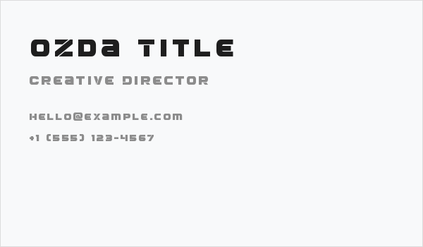 Ozda Title Business Card