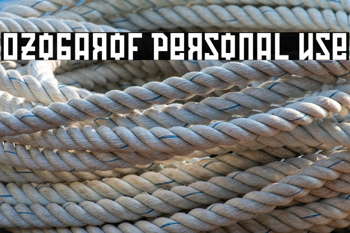 Ozobarof Personal Use Example 3