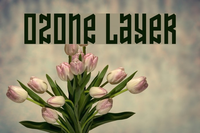 Ozone Layer Font examples