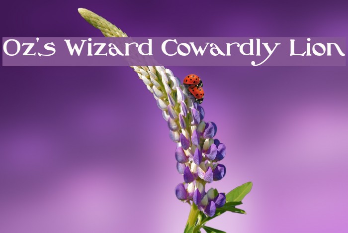 Oz's Wizard Cowardly Lion Example 3