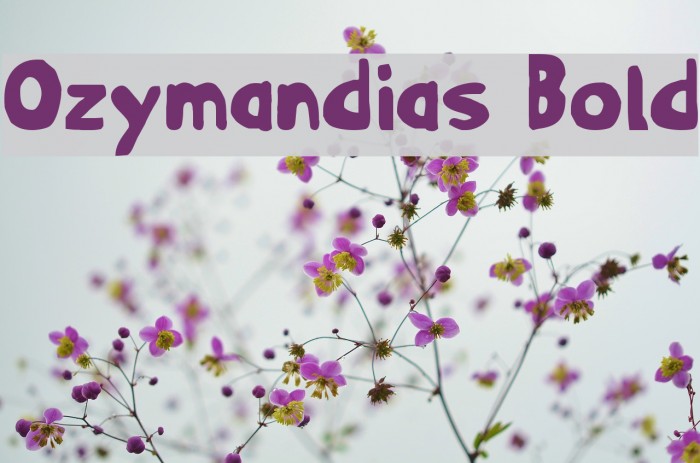 Ozymandias Bold Font examples
