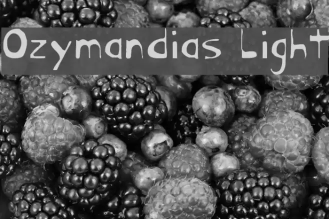 Ozymandias Light Font examples