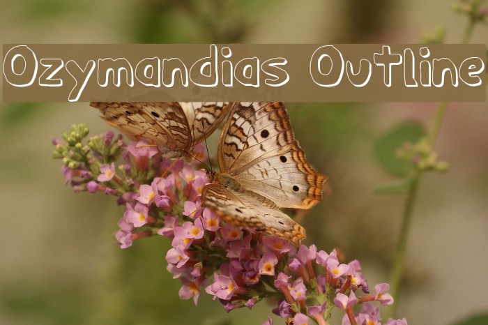 Ozymandias Outline Font examples