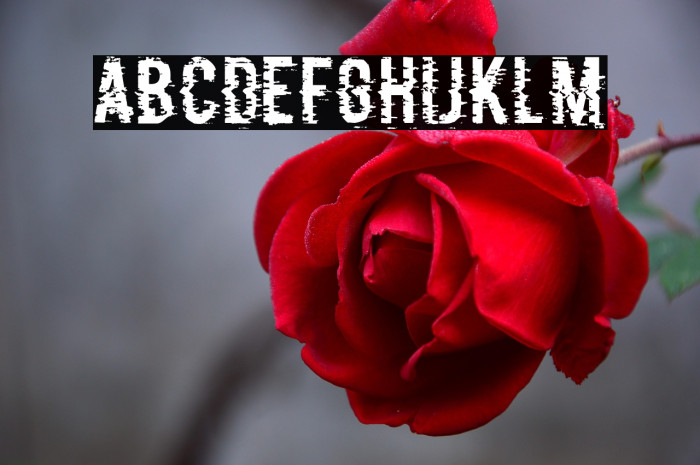 P&F Regular Example 2