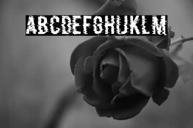 P&F Regular Schriftart examples