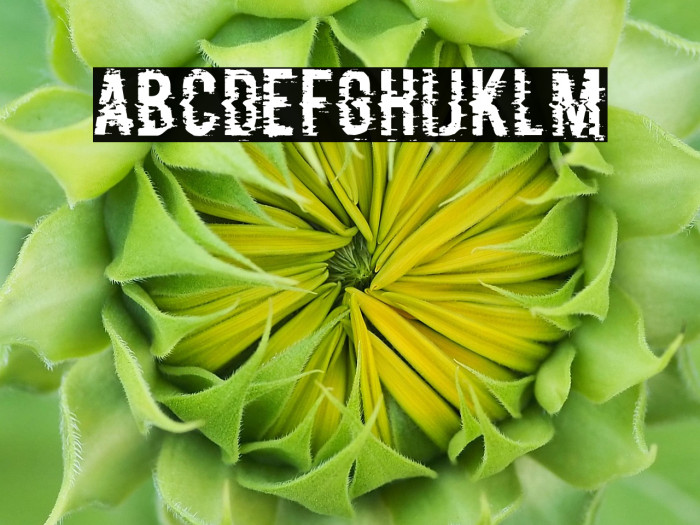 P&F Regular Example 3