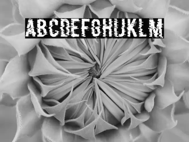 P&F Regular Schriftart examples