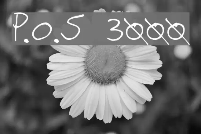 P.O.S 3000 Caratteri examples