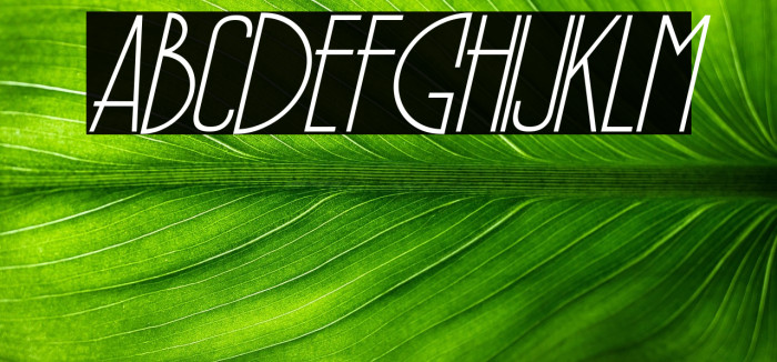 PÕRTO Italic Example 1