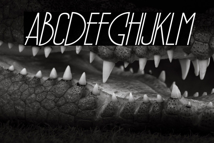 PÕRTO Italic Example 2