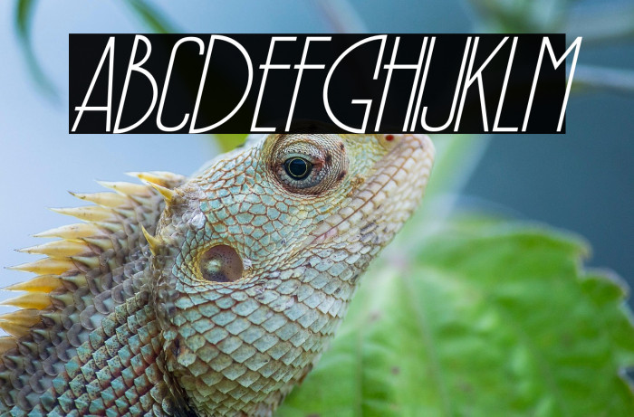 PÕRTO Italic Example 2