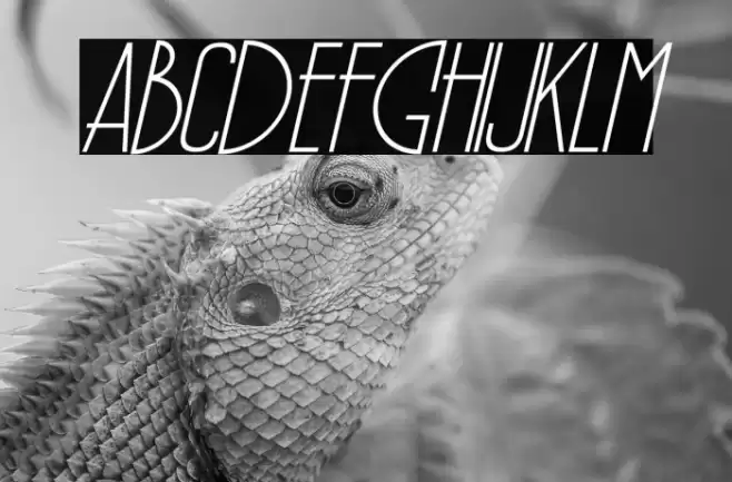 PÕRTO Italic Font examples