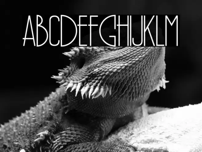 PÕRTO Font examples