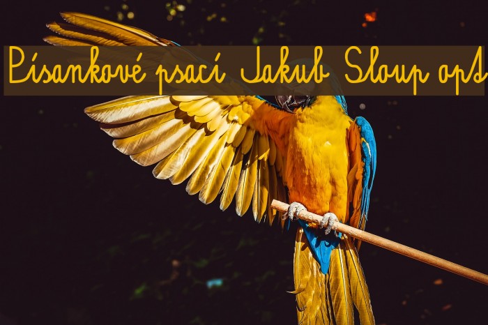 Písankové psací Jakub Sloup opt Font examples