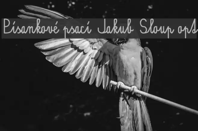 Písankové psací Jakub Sloup opt Font examples
