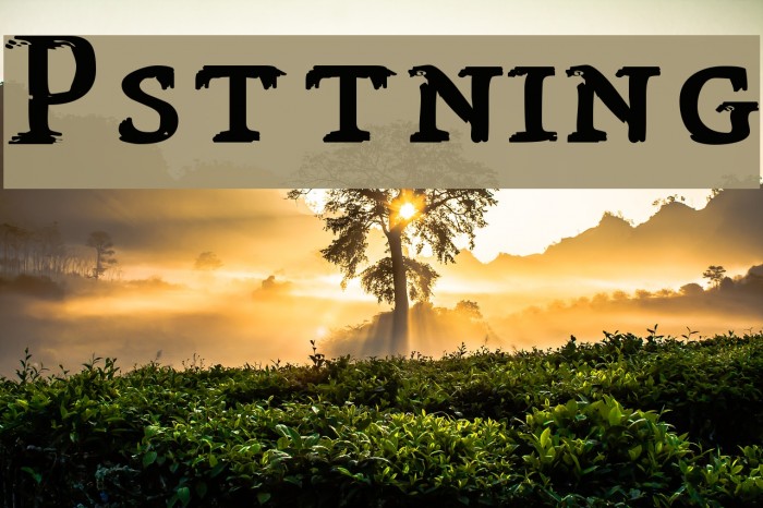 Påsättning Font examples