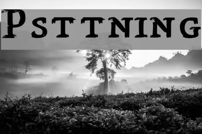 Påsättning Font examples