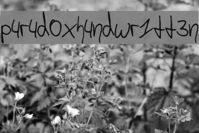 p4r4d0x_h4ndwr1tt3n フォント examples