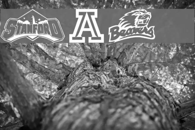 PAC-12 Font examples