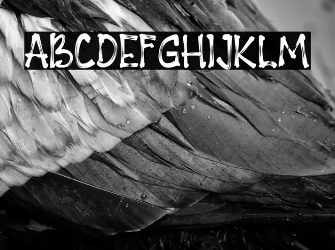 PAGEONE Font examples