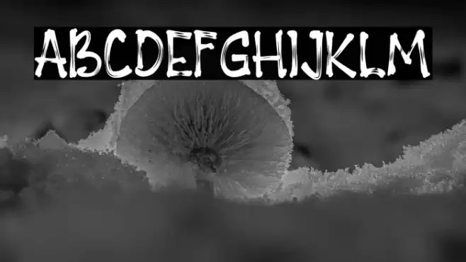 PAGEONE Font examples