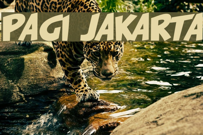 PAGI JAKARTA Шрифта examples