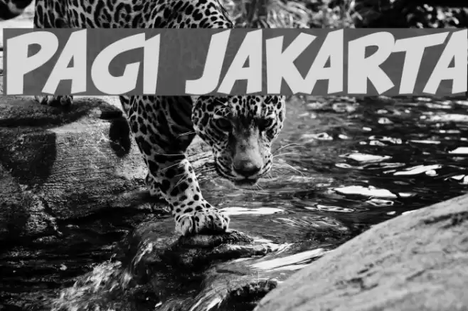 PAGI JAKARTA Font examples