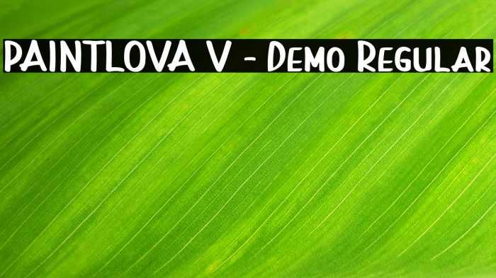 PAINTLOVA V2 - Demo Regular Example 2