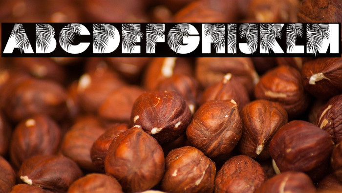 PALMSPRINGS PERSONAL USE Regular Example 1