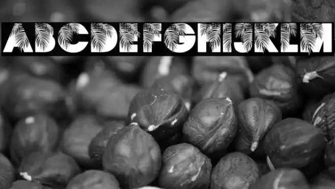 PALMSPRINGS PERSONAL USE Regular フォント examples