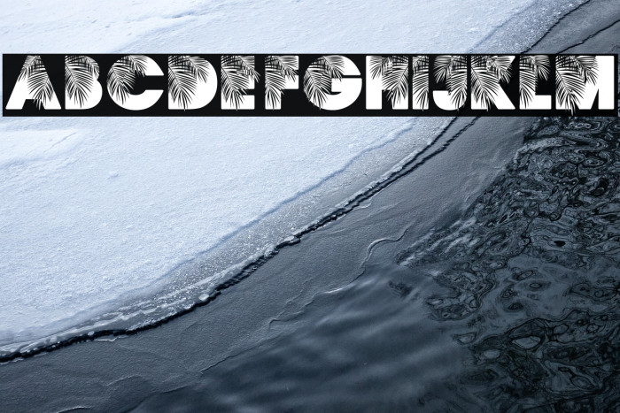 PALMSPRINGS PERSONAL USE Regular Example 2