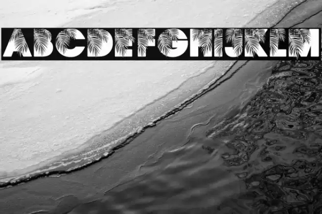 PALMSPRINGS PERSONAL USE Regular フォント examples