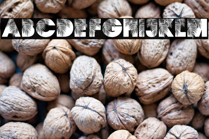 PALMSPRINGS PERSONAL USE Regular Example 3