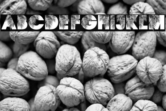 PALMSPRINGS PERSONAL USE Regular フォント examples