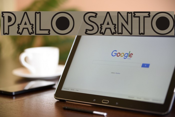 PALO SANTO Example 1