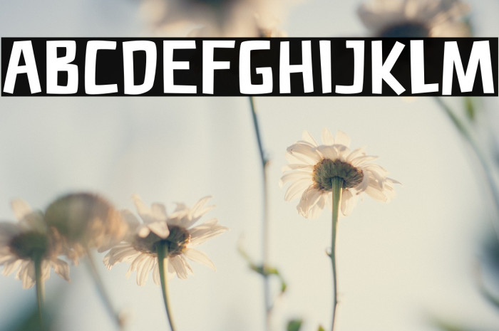 PAMPARAYDemoRegular Font examples