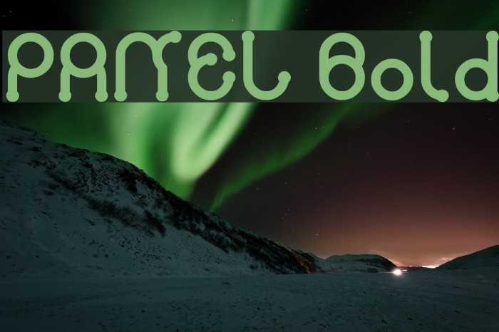 PANEL Bold Example 1