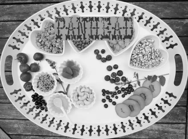 PANHEAD خط examples