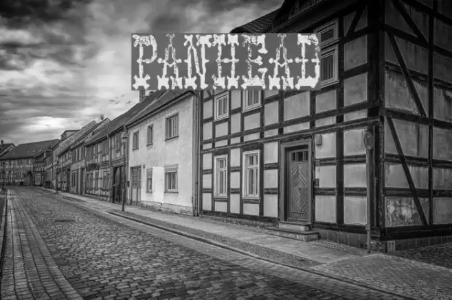 PANHEAD خط examples