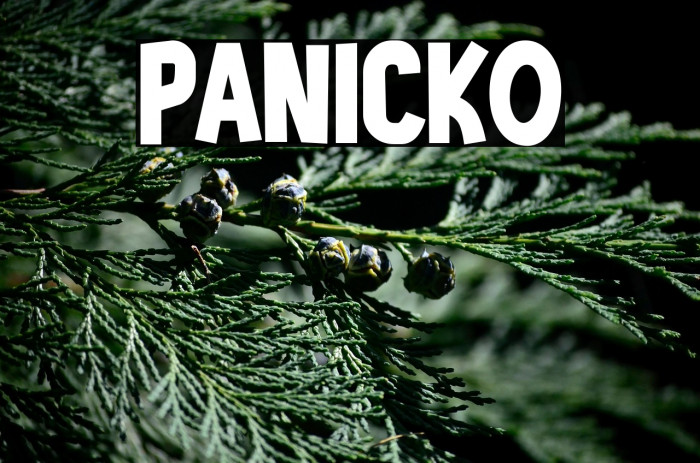 PANICKO Example 1