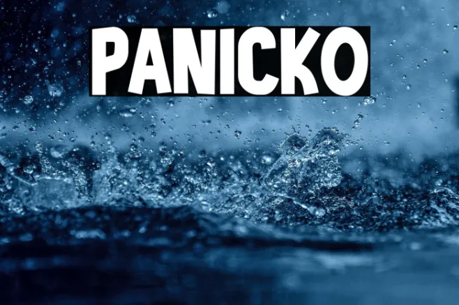 PANICKO Example 2