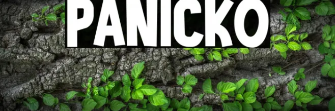 PANICKO Example 3