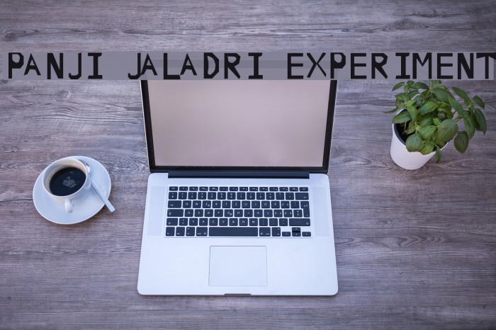 PANJI JALADRI EXPERIMENT Font examples