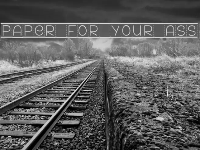 PAPER FOR YOUR ASS Font examples
